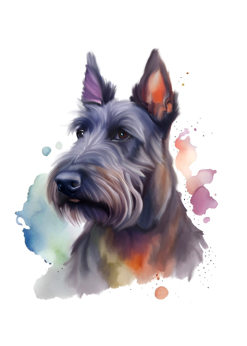 Scottish Terrier A4 Art Print – Proud & Distinguished Dog Wall Art