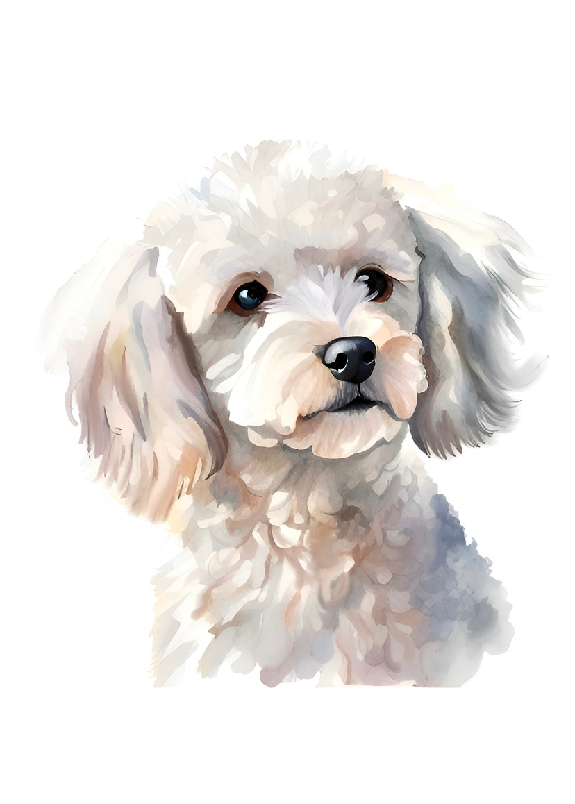 Bichon Frise A4 Art Print – Posh & Powder-Puff Pup Wall Art