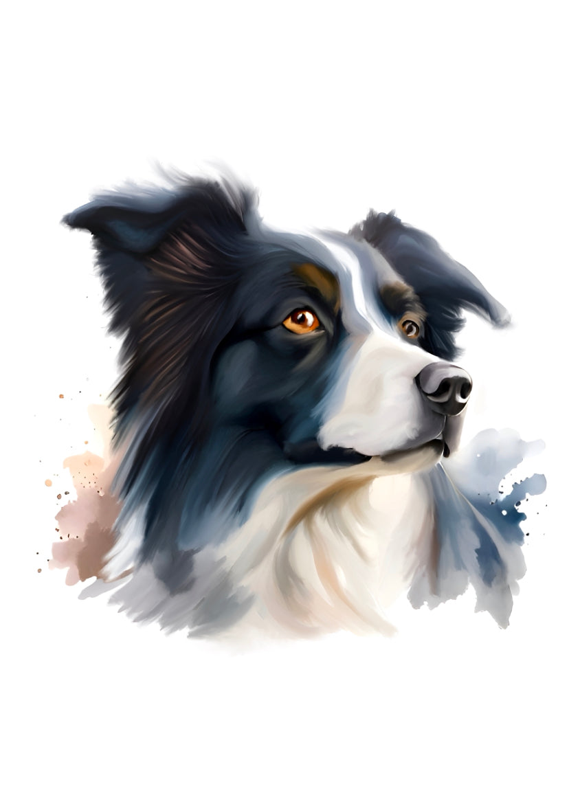 Border Collie A4 Art Print – Smart & Energetic Herding Dog Wall Art