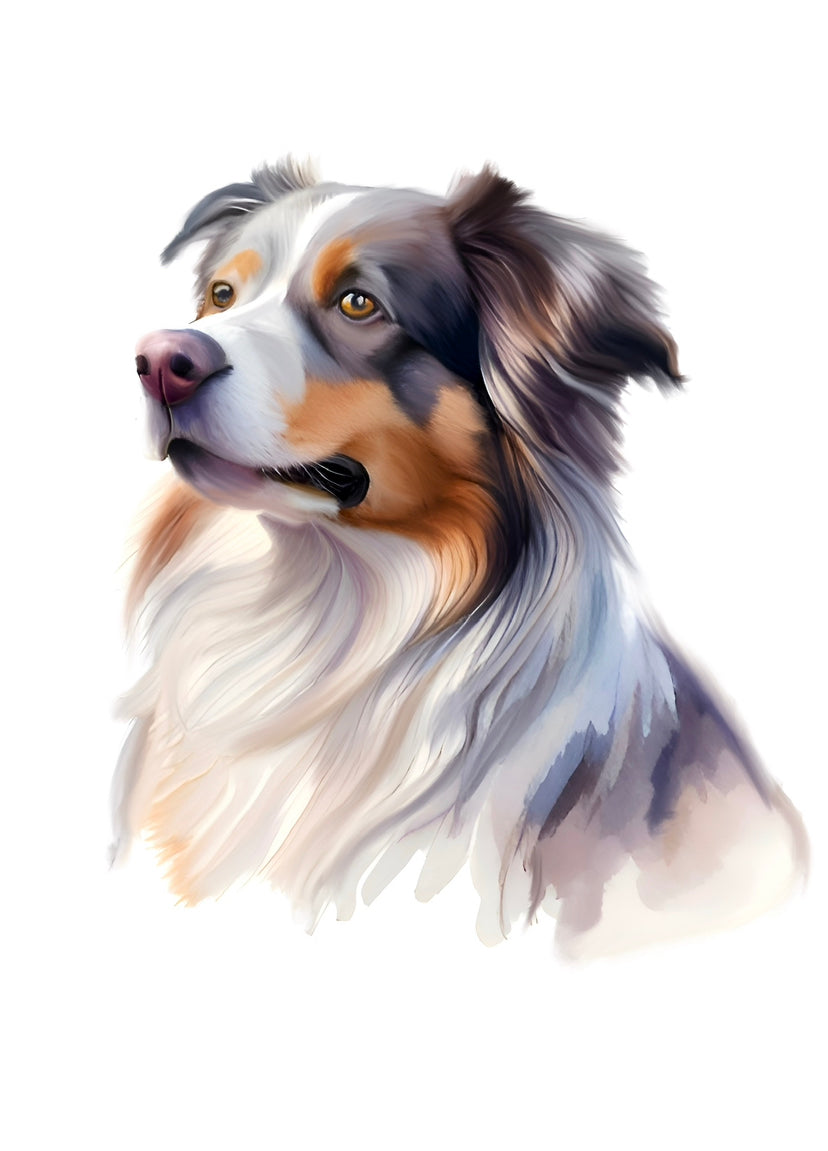 Australian Shepherd A4 Art Print – Smart & Spirited Herding Dog Wall Art