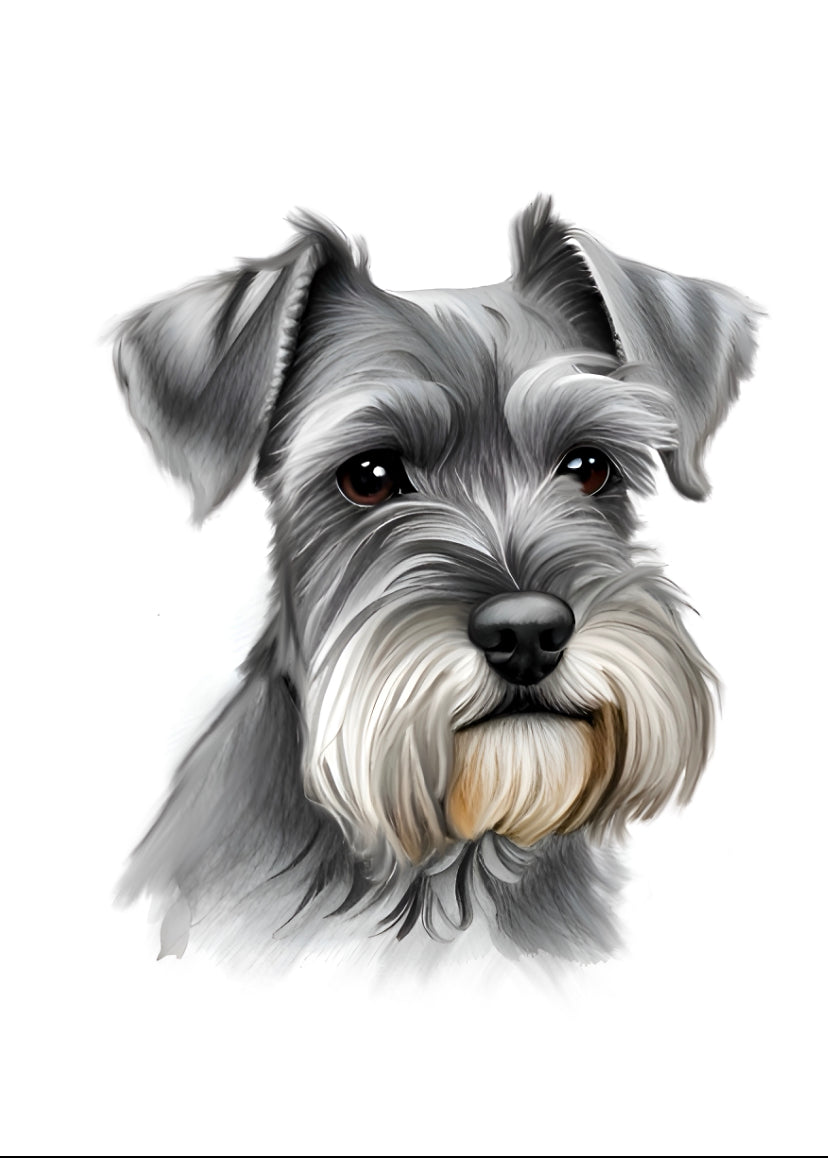 Schnauzer A4 Art Print – Charismatic & Clever Dog Wall Art