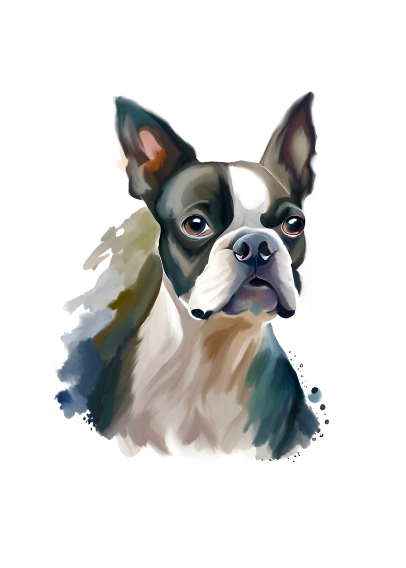 Boston Terrier A4 Art Print – Dapper & Cheerful Dog Wall Art