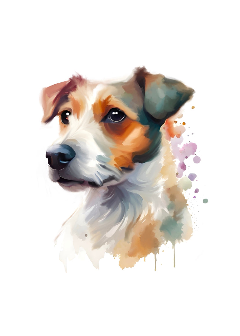 Jack Russell Terrier