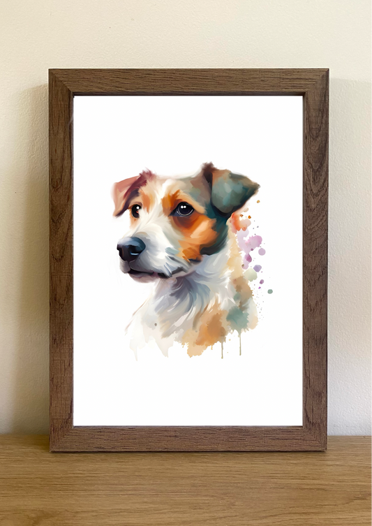 Jack Russell Terrier