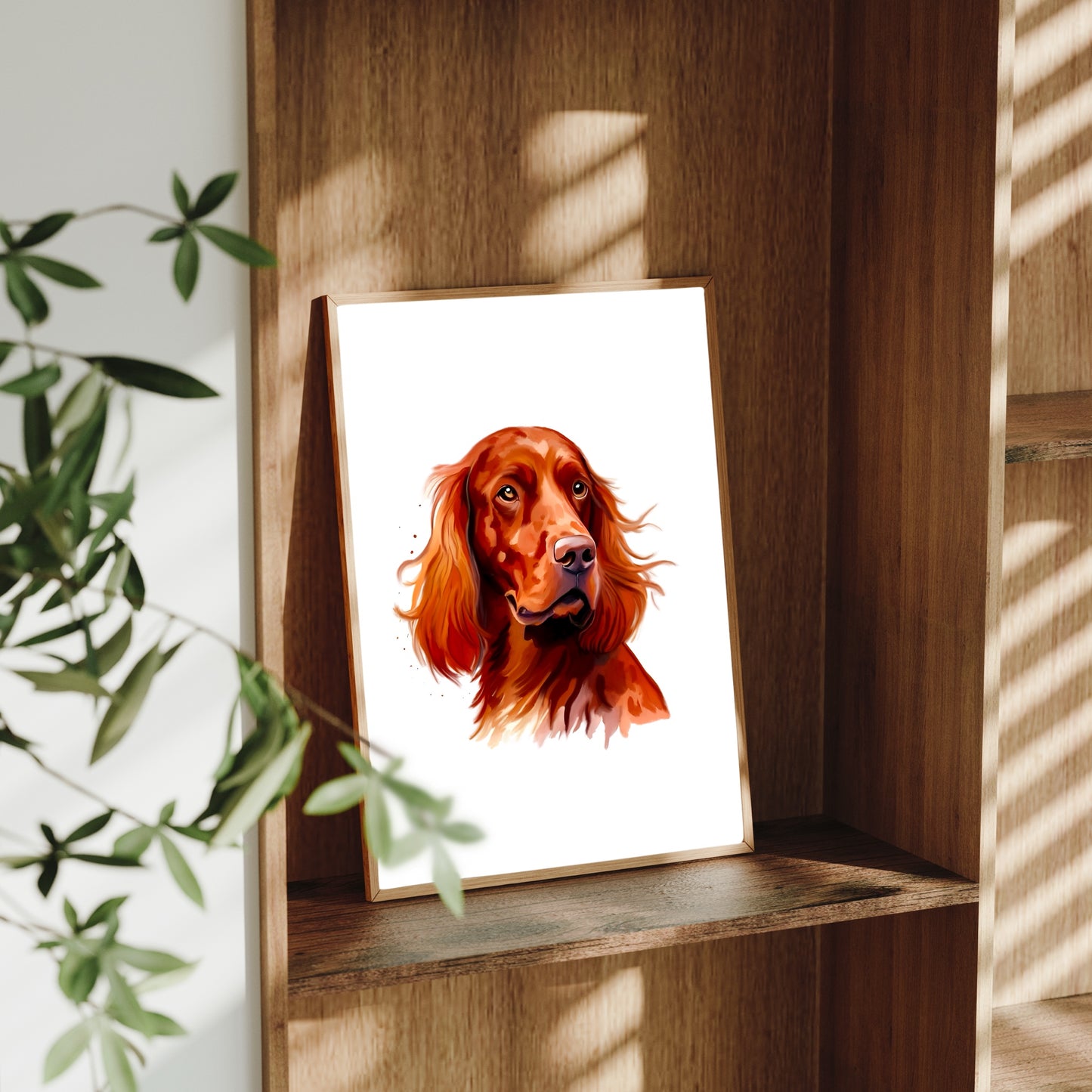 Irish Setter