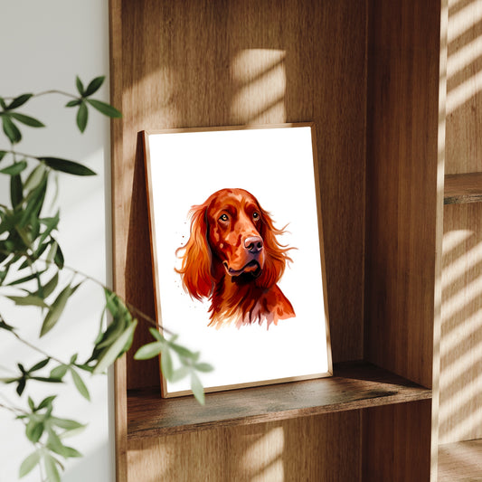 Irish Setter