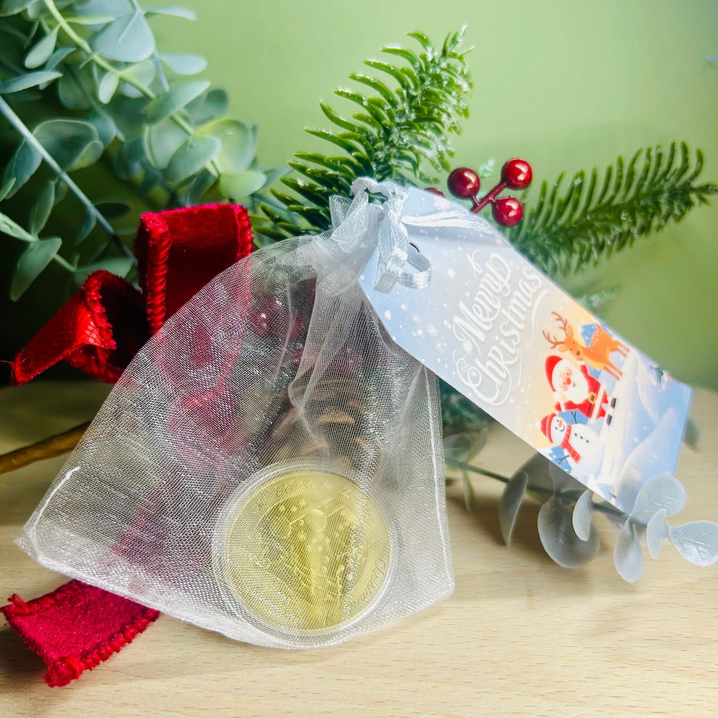 Santa Claus Wishing Coin | Believe in the Magic of Christmas | Keepsake Gift