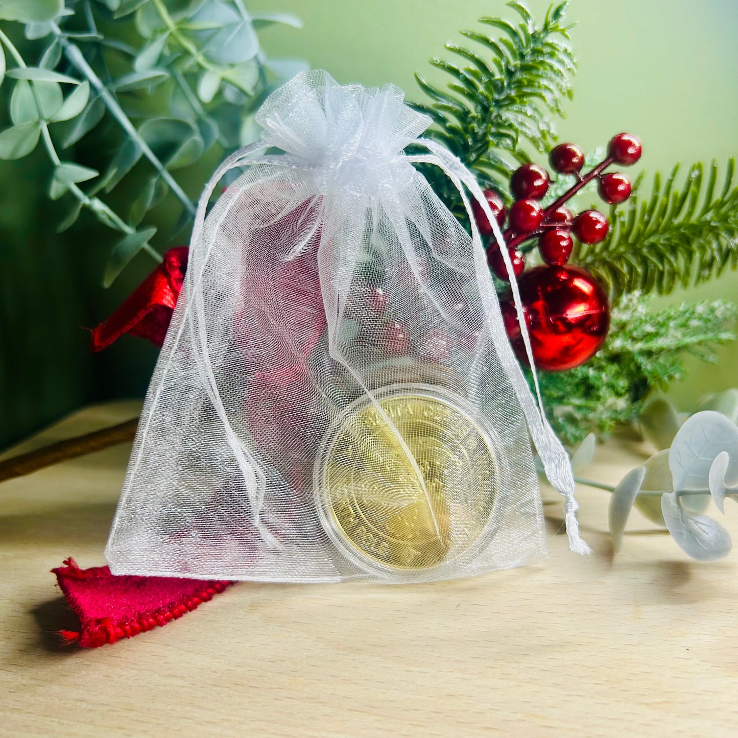 Santa Claus Wishing Coin | Believe in the Magic of Christmas | Keepsake Gift