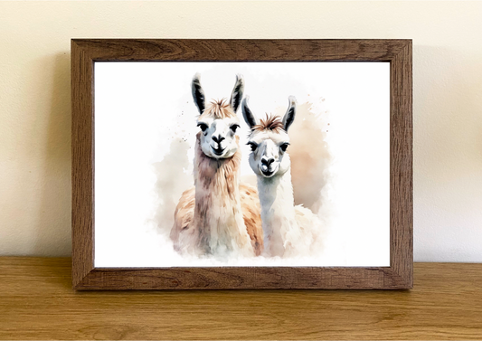 Llamas - Farmhouse Style Collection