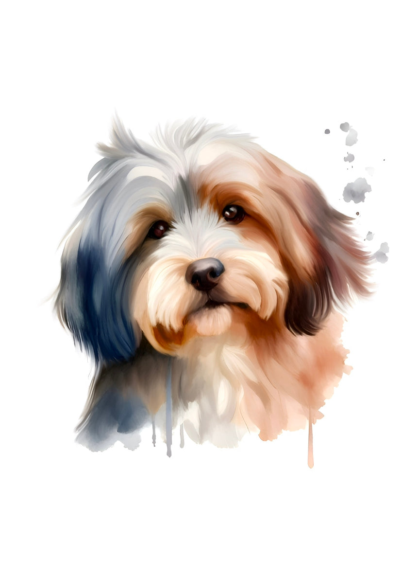 Havanese A4 Art Print – Sweet & Silky Companion Dog Wall Art