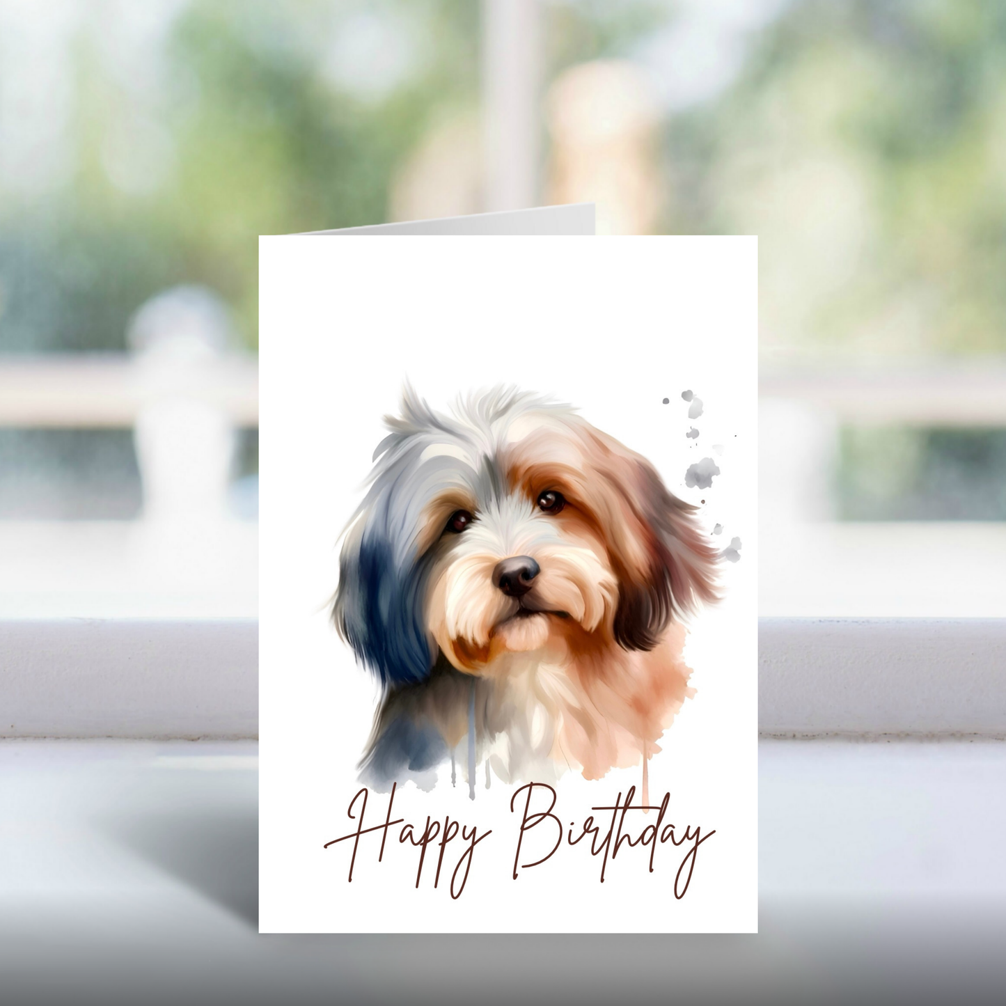 Havanese | A5 Greetings Card | Happy Birthday