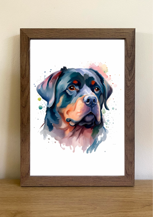 Rottweiler