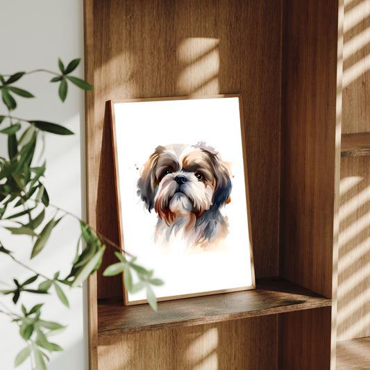 Shih Tzu