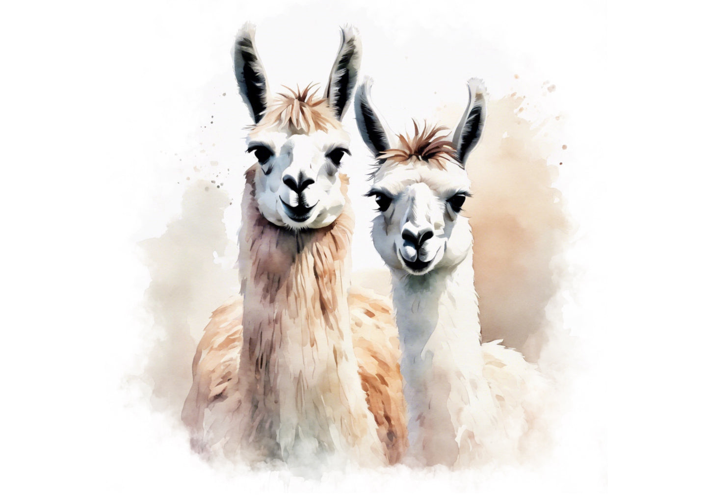 Llamas - Farmhouse Style Collection