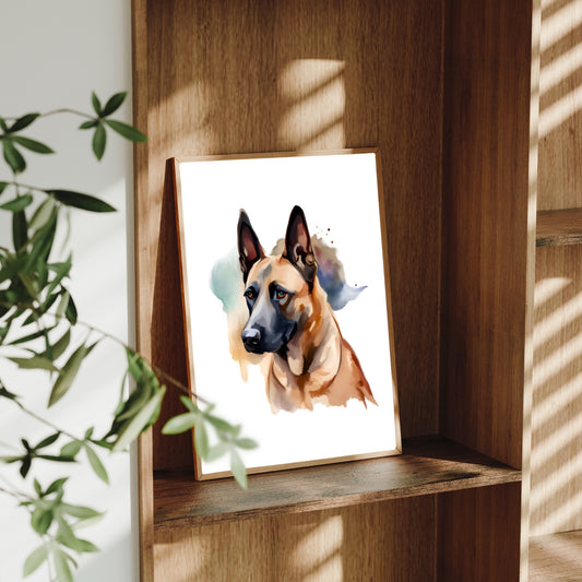 Belgian Malinois A4 Art Print – Intelligent & Loyal Working Dog Wall Art
