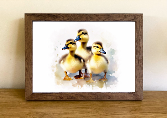 Ducklings - Farmhouse Style Collection