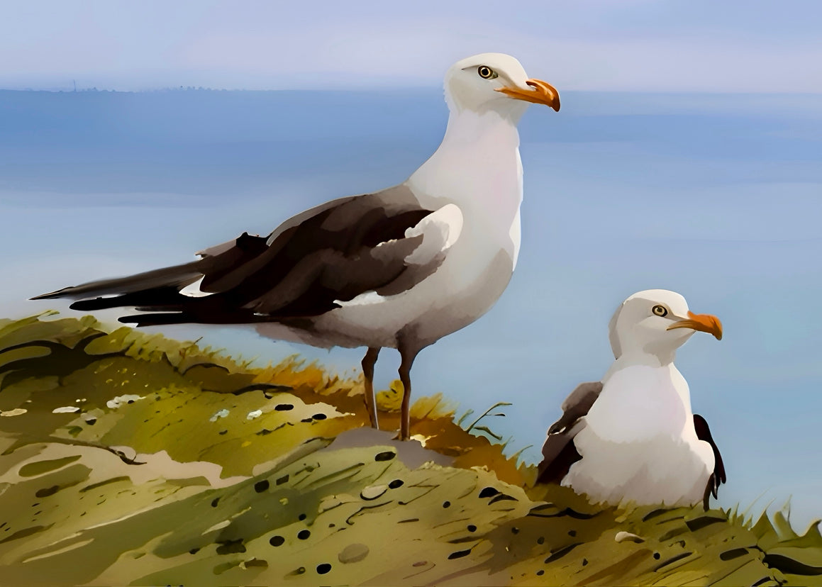 Seagulls